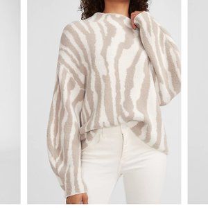 Express Sweater